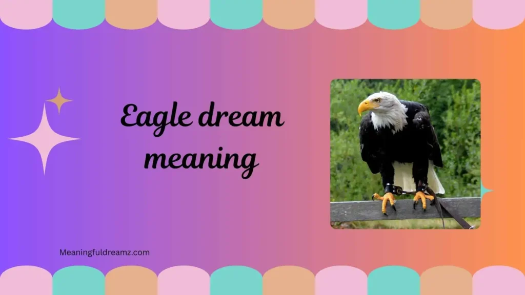 What is Eagle Dream Meaning?