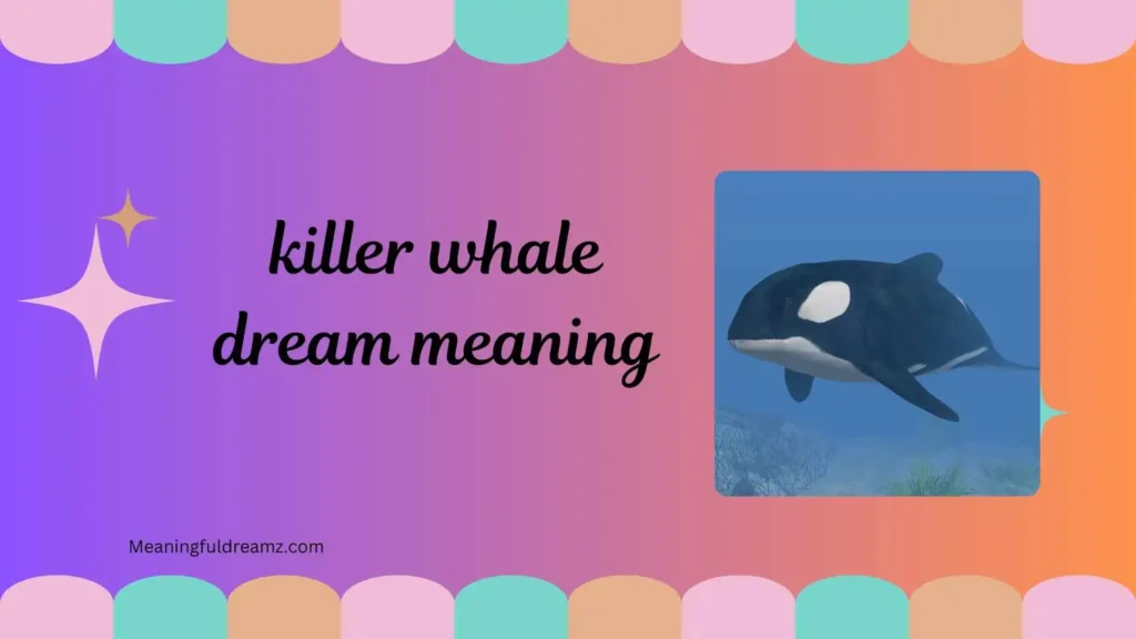 What is Killer Whale Dream Meaning?