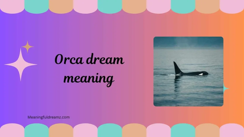 What is Orca Dream Meaning?