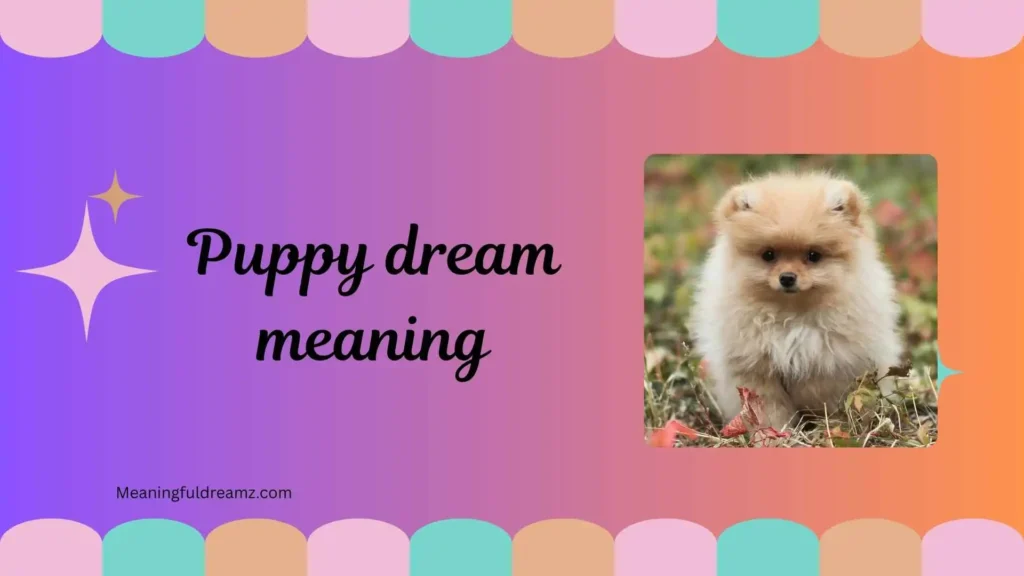 What is Puppy Dream Meaning?