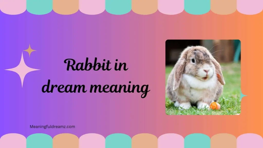 What is Rabbit in Dream Meaning?