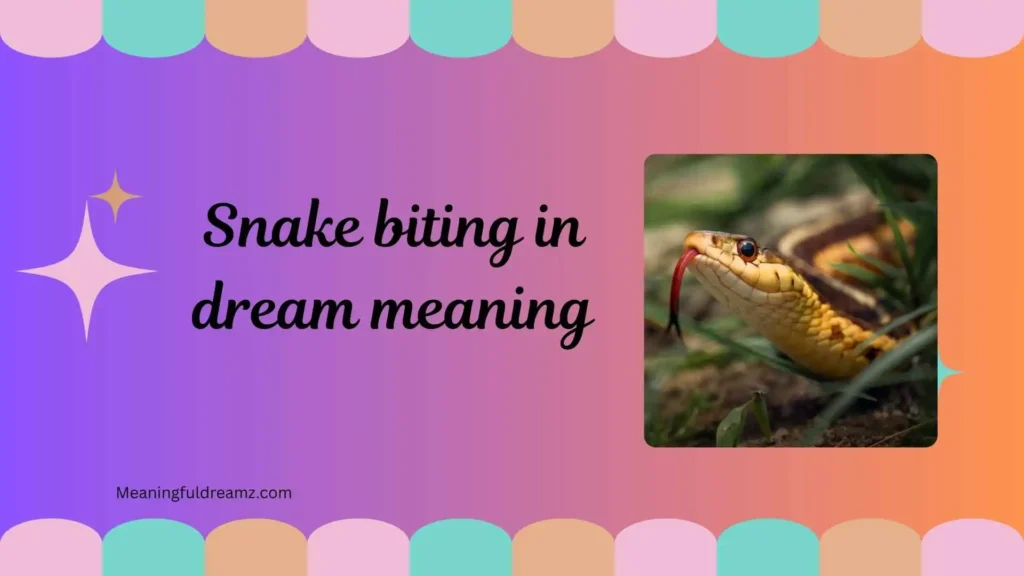 What is Snake Biting in Dream Meaning?