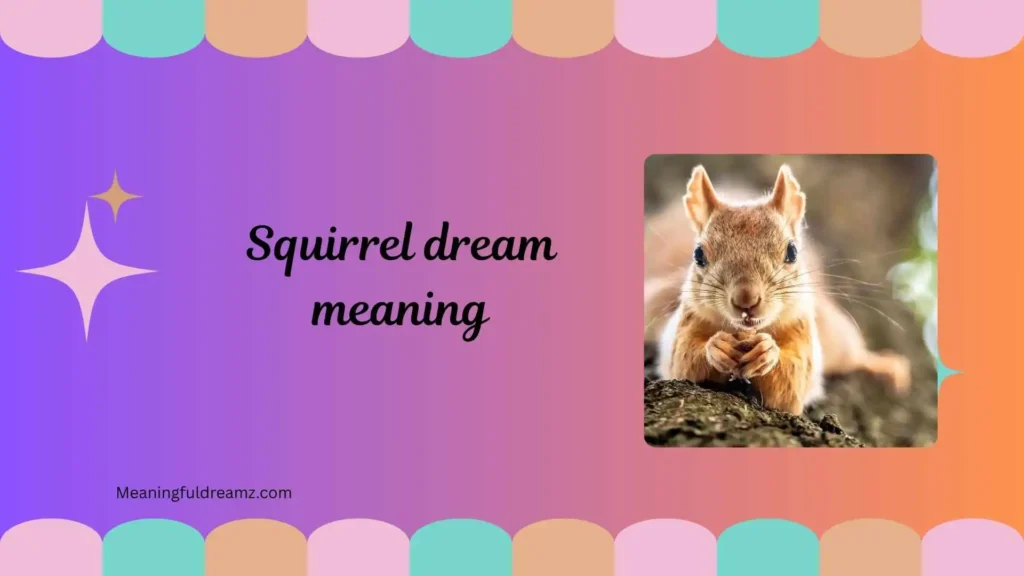  What is Squirrel Dream Meaning?